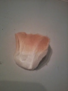 BIODERMA Atoderm Nutritive, Hydrabio H2O und Sébium AKN