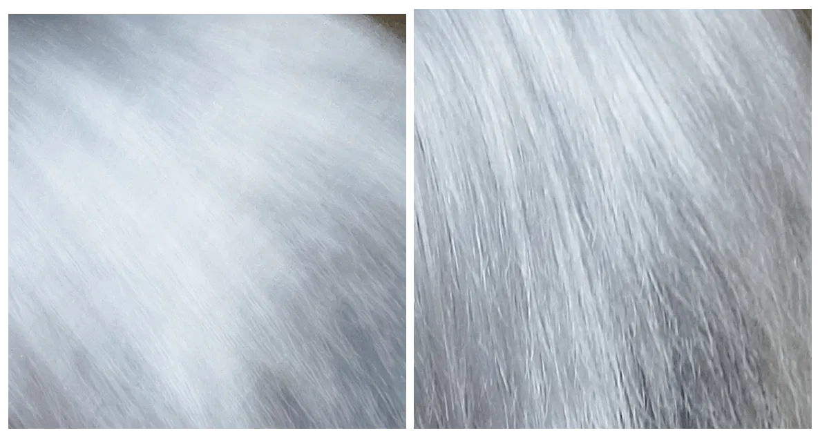 lorealpariscolovistasilvergreypermanentgelhair