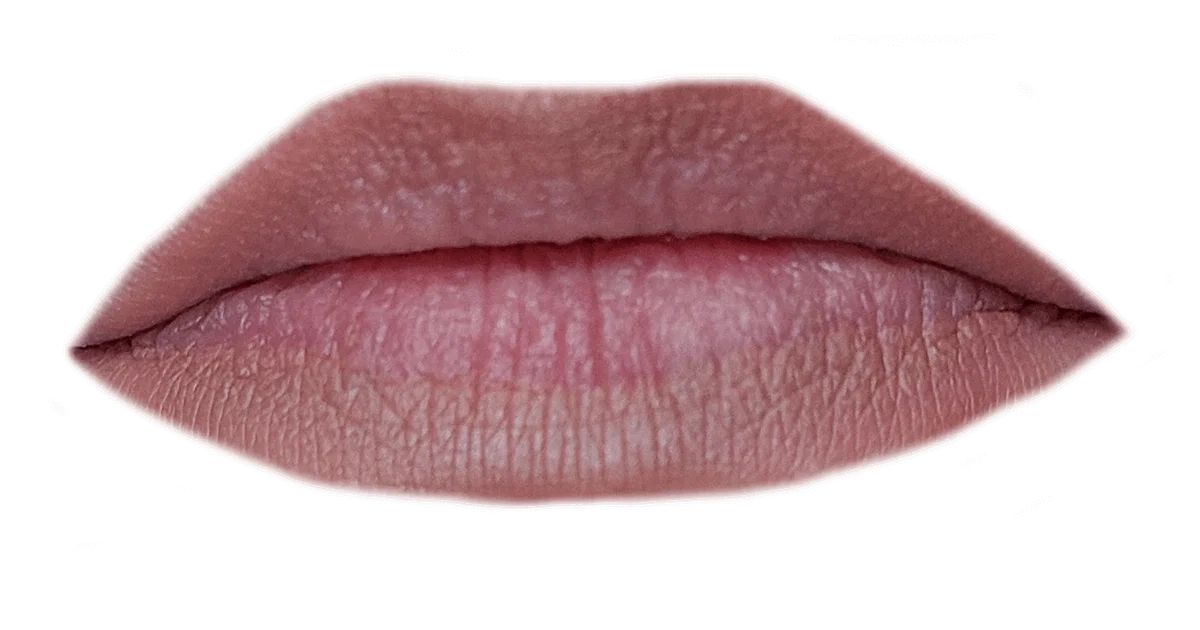 nyxcosmeticsslimlippencilnaturalswatch